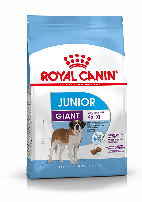 Giant Junior