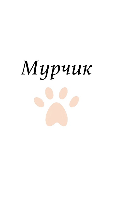 Мурчик 